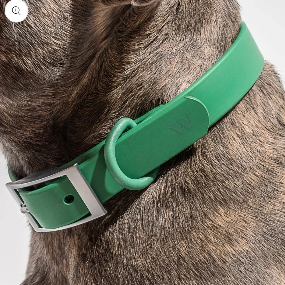 Wild One Dog Collar - M (12-15